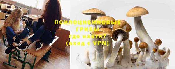 гашиш Абаза