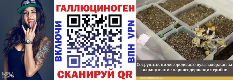 что такое Правдинск Галлюциногенные грибы Psilocybine cubensis